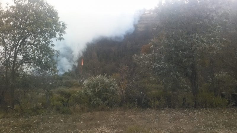 Combaten incendios forestales en Ixtacamaxtitlán, Libres y Tetela de Ocampo