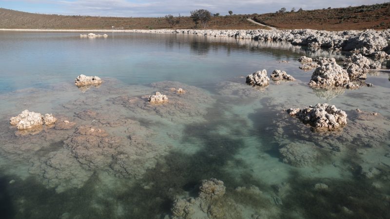 Anuncian medidas para el cuidado ambiental de la laguna de Alchichica