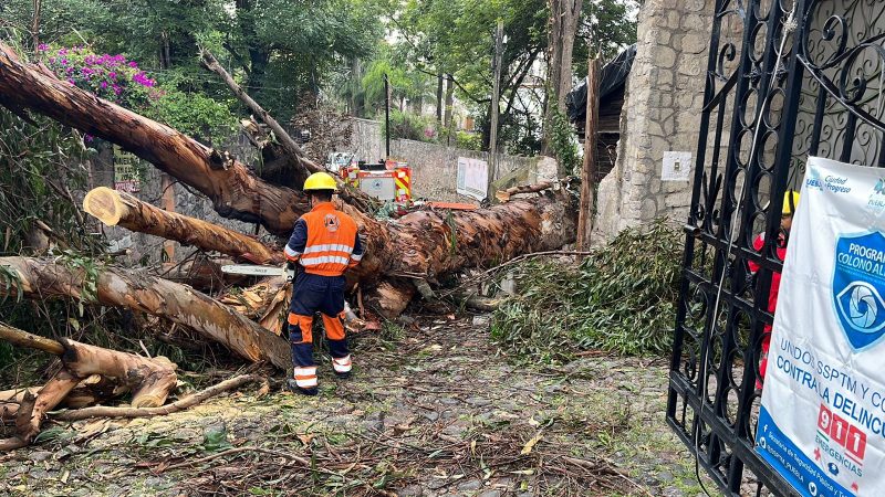 Mantiene ayuntamiento de Puebla trabajos integrales en zonas afectadas por lluvias