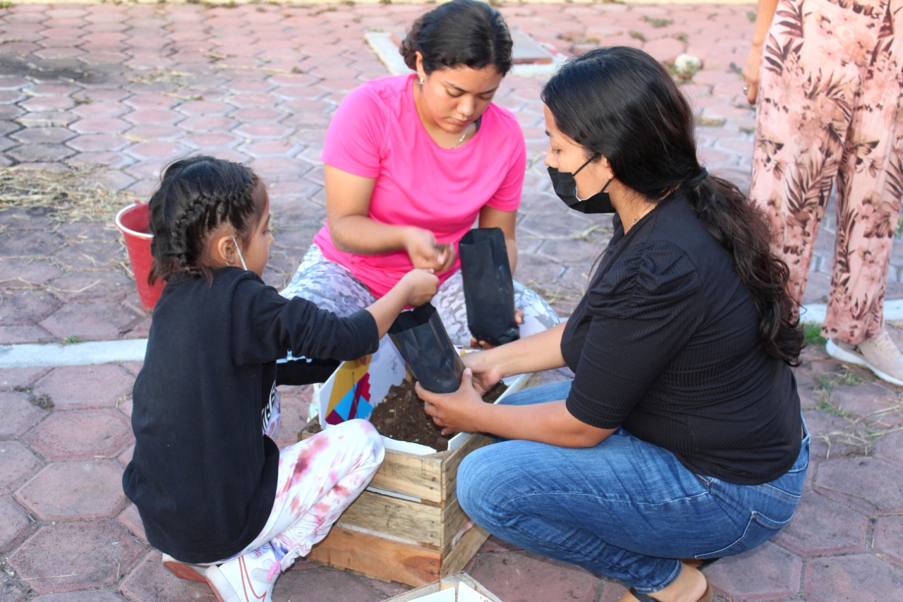 Producirán familias de Izúcar de Matamoros alimentos en huertos urbanos