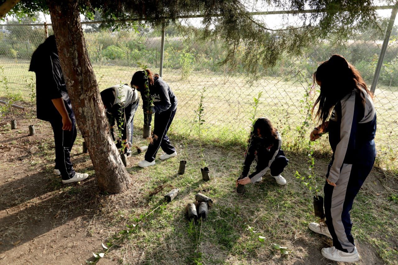 En 2022, San Andrés Cholula plantó 19 mil árboles en el municipio