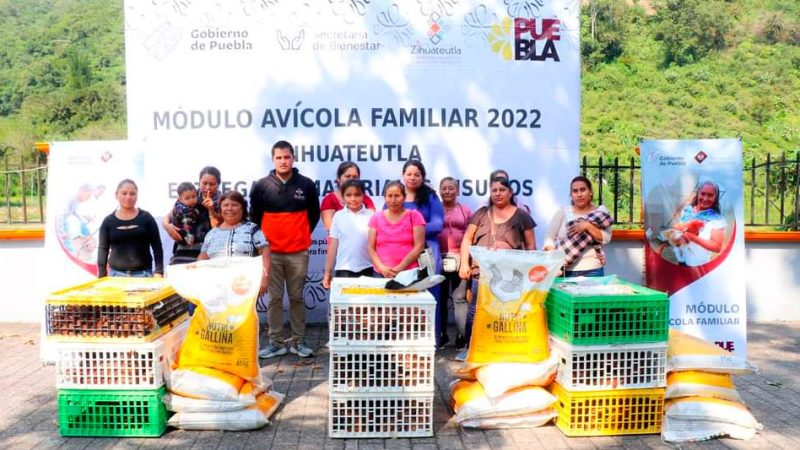 Programa de Módulos Avícolas, beneficia a familias de Zihuateutla
