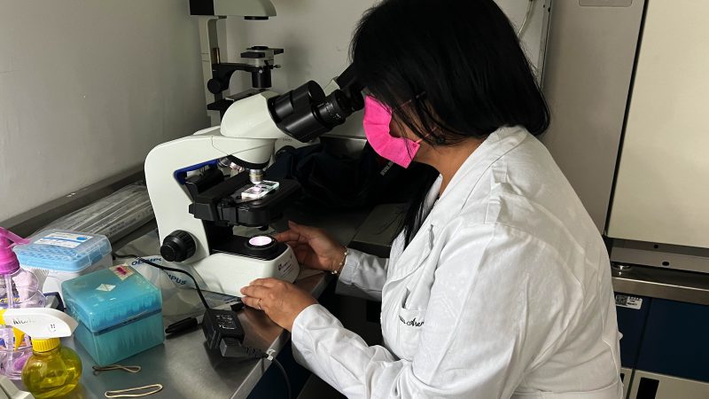 Investigadores BUAP analizan genoma de E. coli uropatógena para conocer sus marcadores de infección