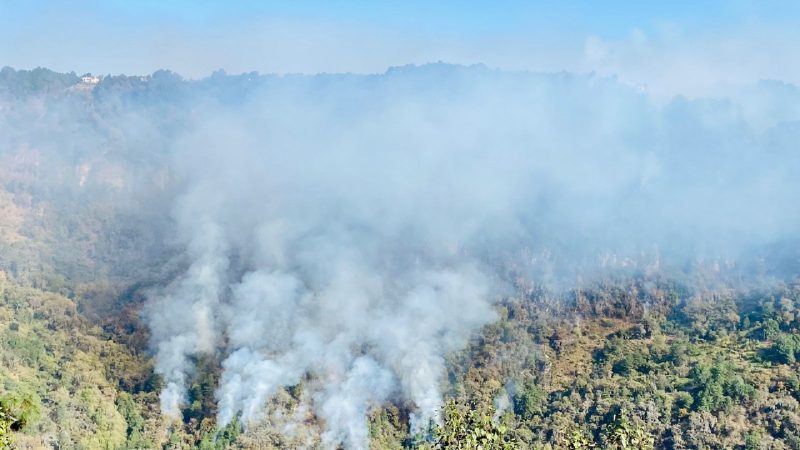 Trabajan PC y CONAFOR para sofocar incendio en comunidad de Zacatlán