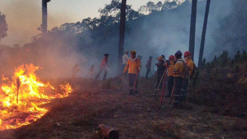 Prevén que 2023 sea uno de los años más complicados para Puebla en materia de incendios forestales