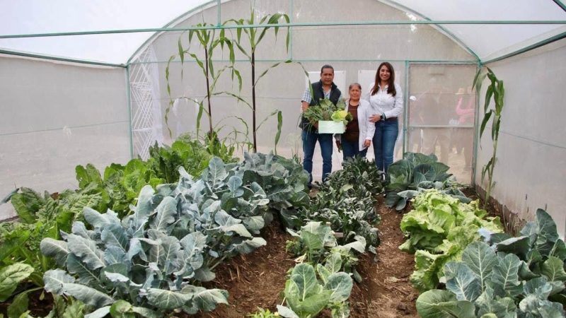 Supervisa Angélica Alvarado cosechas de programa alimentario en Huejotzingo