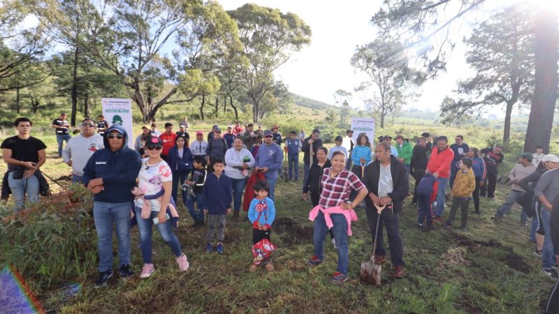 Realizan jornada de reforestación en el cerro Zapotecas