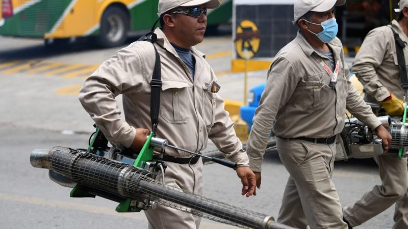 En cinco municipios de Puebla, se concentra el mayor número de afectados por dengue