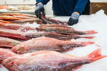 Refuerzan autoridades de salud vigilancia sanitaria de alimentos en temporada de cuaresma