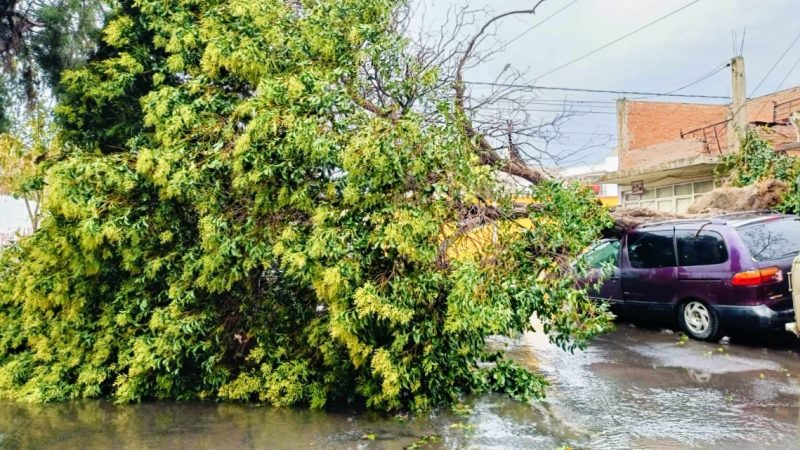 Granizada deja importantes daños en La Libertad