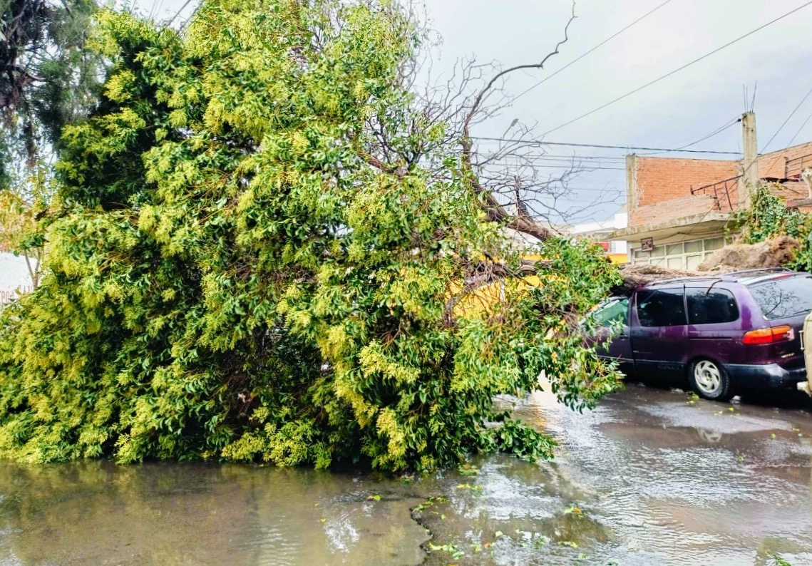 Granizada deja importantes daños en La Libertad