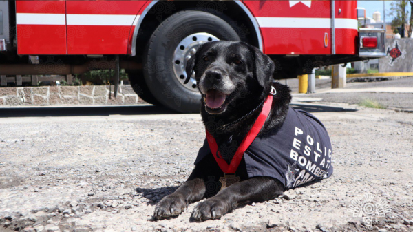 Con honores, despide SSP a “Dana”, ejemplar canina de Bomberos