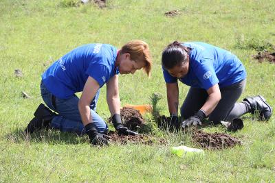 En Puebla, recibirán Valles Centrales más de 970 mil plantas para reforestación