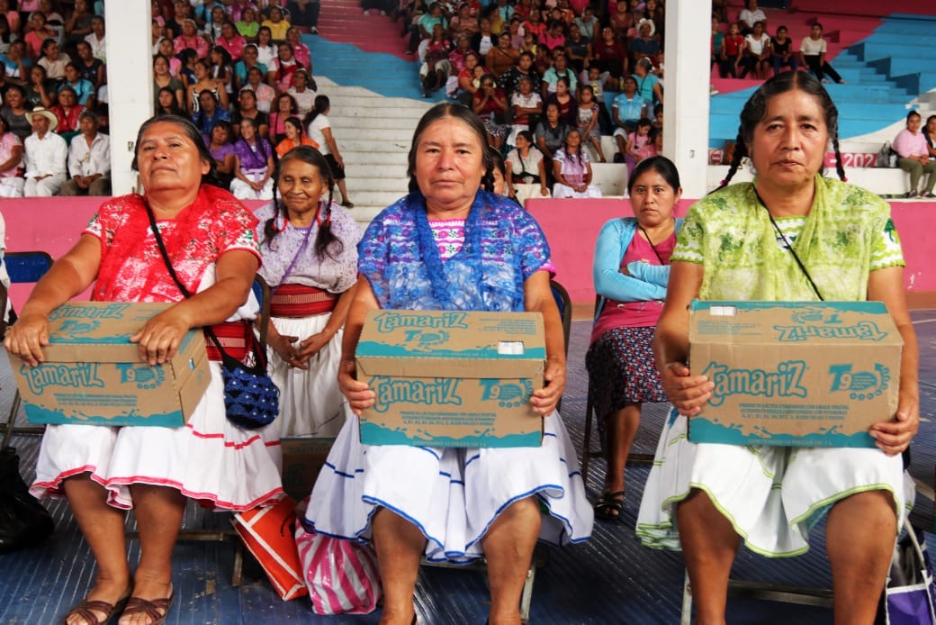 Entregan apoyo alimentario de Bienestar a familias de Zongozotla