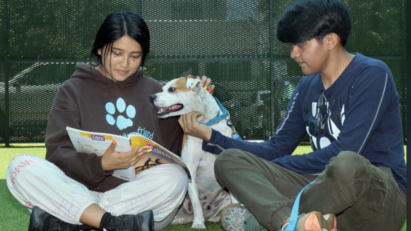 Tercer Congreso Internacional de Ciencias Interdisciplinarias para la Protección y el Bienestar Animal