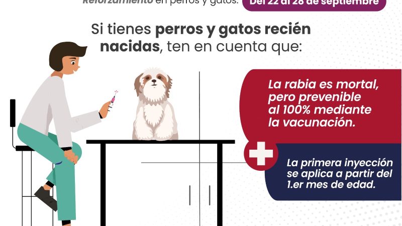 Reforzará Salud vacunación antirrábica para perros y gatos