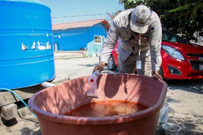 Tehuacán, el municipio con más incidencia de dengue