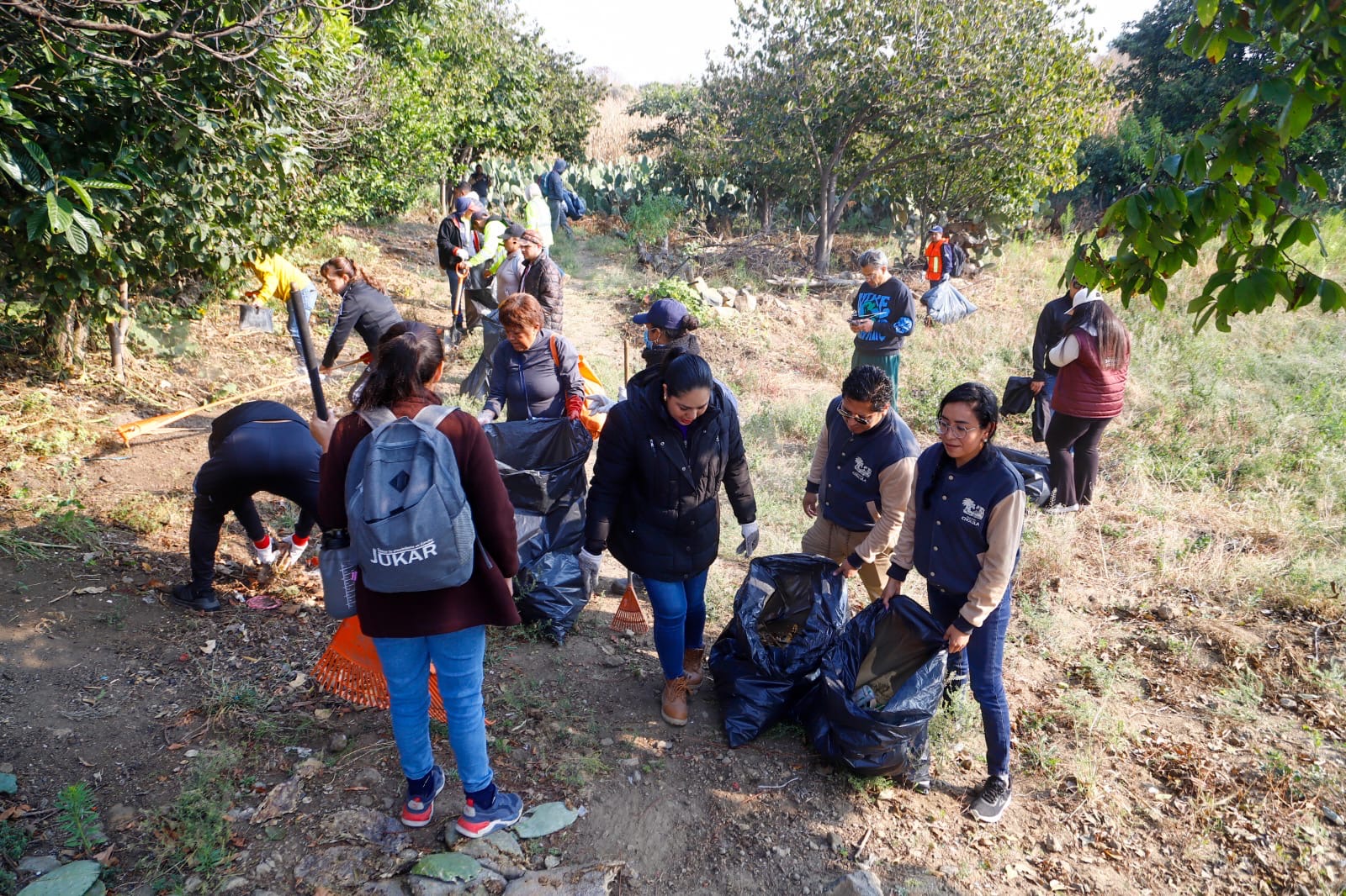 Sociedad y gobierno, realizan acciones de conservación en el cerro Zapotecas