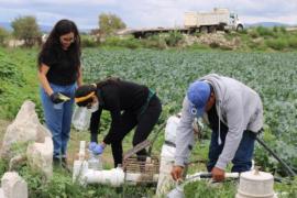 Desarrollan investigadores BUAP y la Universidad de Georgia proyecto de colaboración sobre inocuidad de alimentos agrícolas
