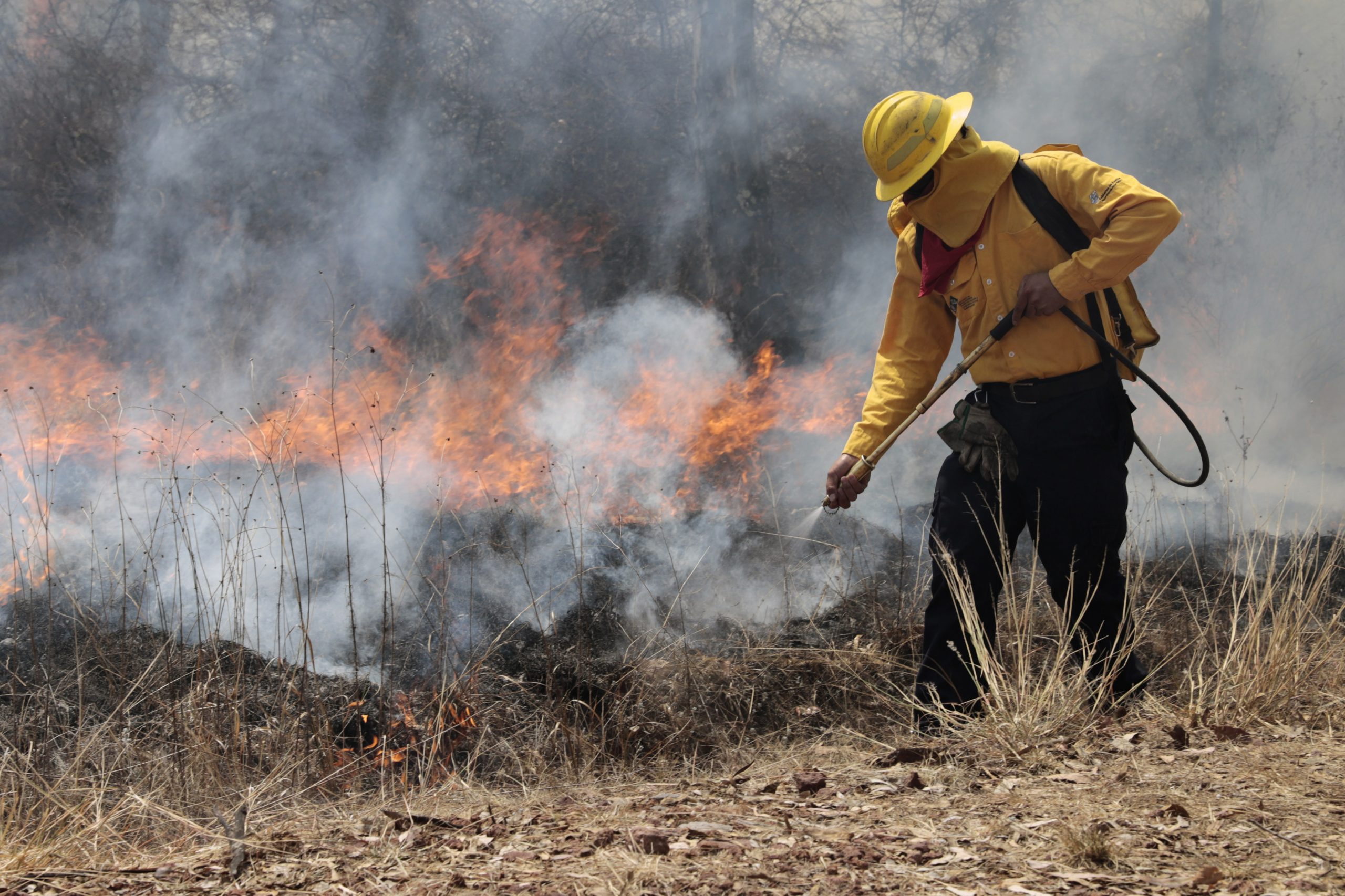 Fortalecen esquemas para combate de incendios forestales