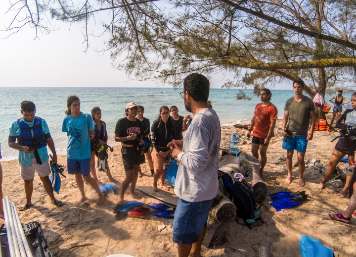 Participan estudiantes UDLAP en proyecto de de arrecifes veracruzanos