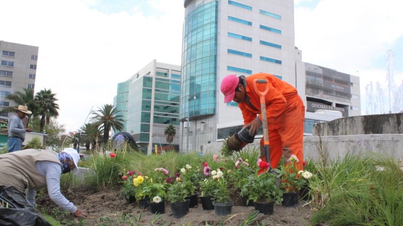 Con técnicas ambientalistas, remodelan la avenida Juárez
