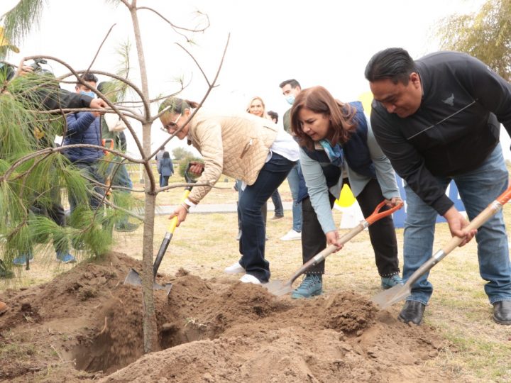 En 2022, autoridades en Puebla han sembrado 200 mil plantas