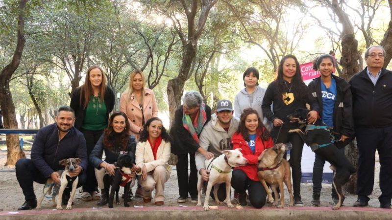 Busca ayuntamiento de Puebla esterilizar más de 3 mil perros y gatos