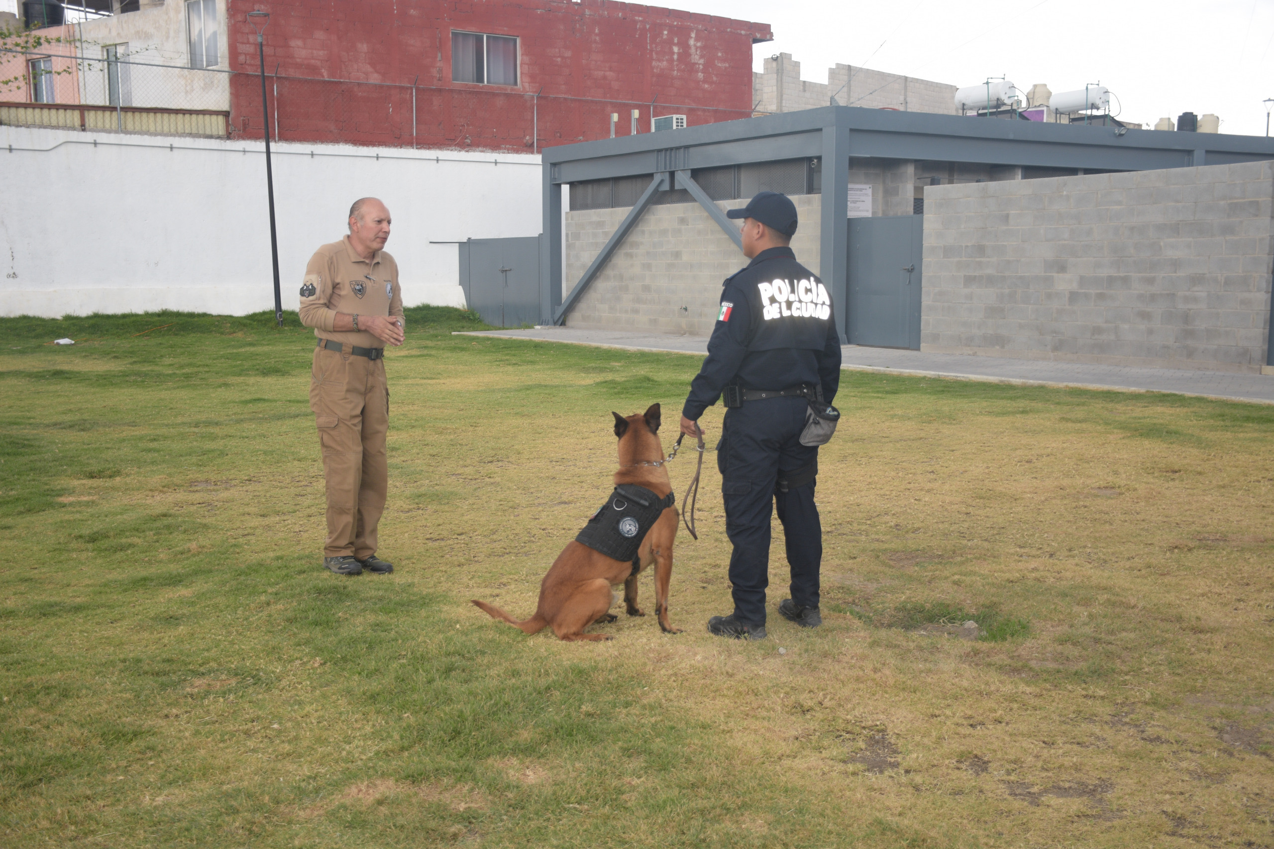 Logra Unidad Canina de la SSC de Puebla certificación internacional